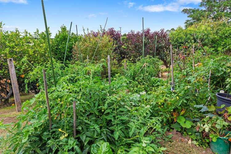 103 Warner Road Oropi_10