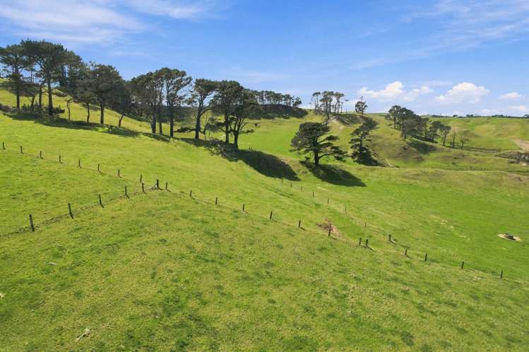 Mount Wesley Coast Road Dargaville_16
