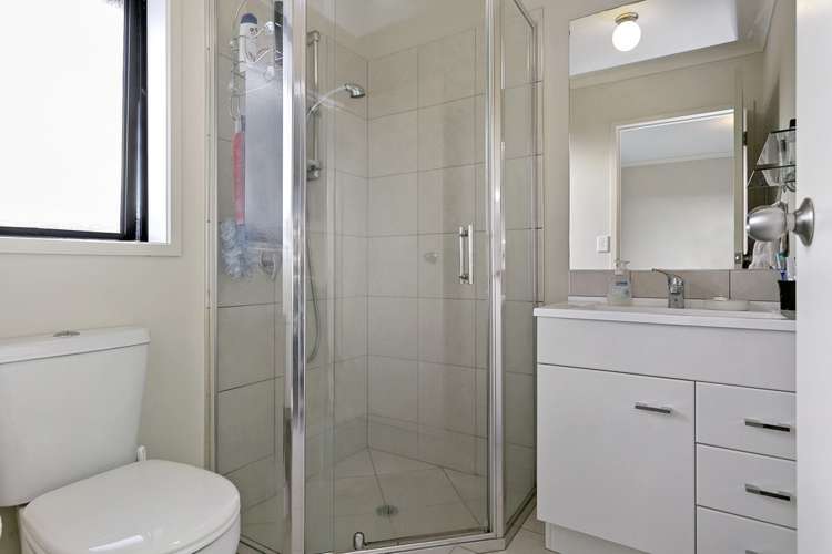 180 Daphne Street Te Awamutu_7