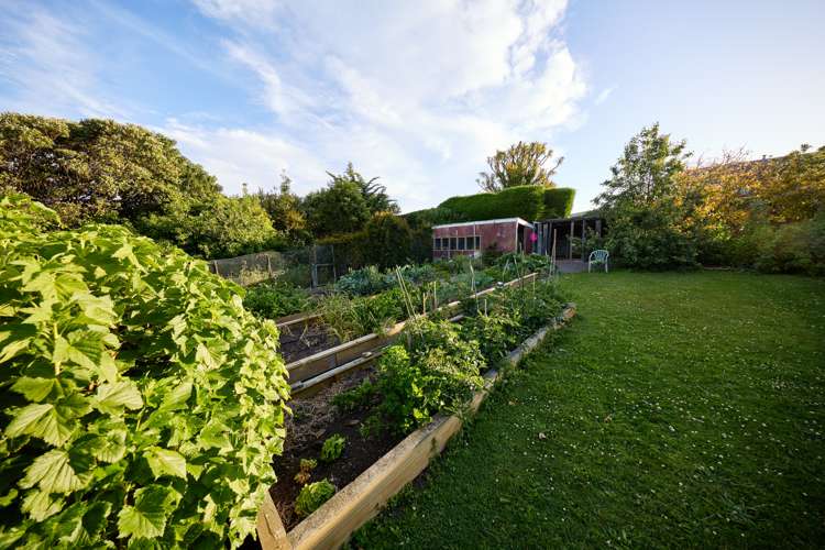 12 Deal Street Kaikoura_84