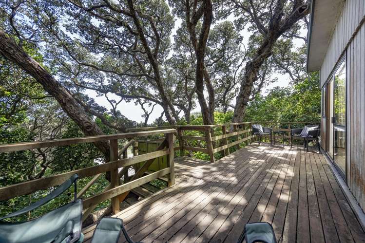 59 North Piha Road Piha_5