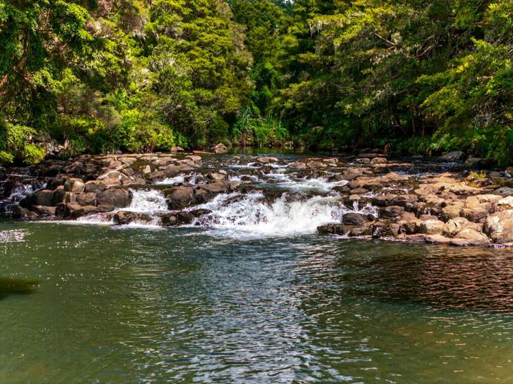 1608E State Highway 10 Kerikeri_19