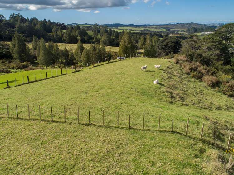 566 Blackbridge Road Waitoki_17