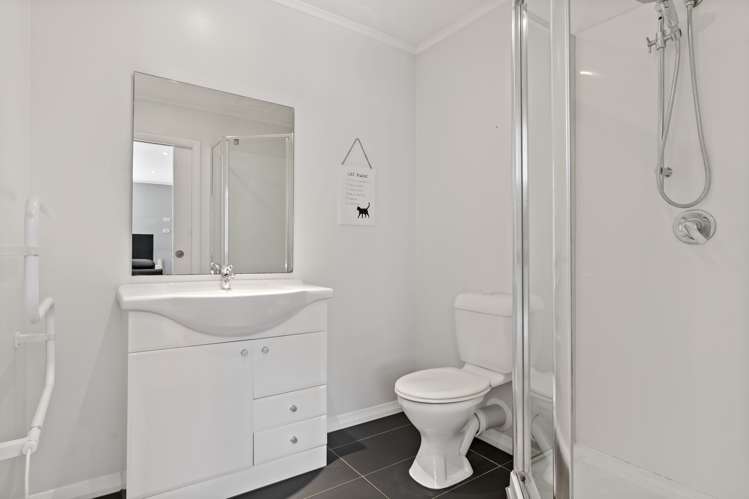 233 Campbell Road Greenlane_16