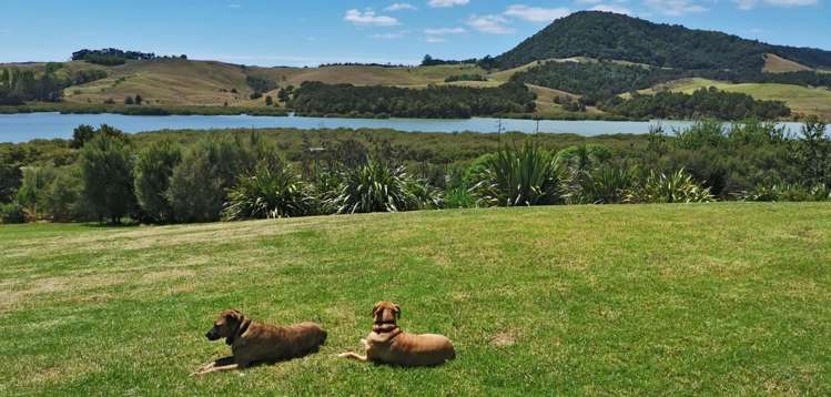 107 Jumna Road Maungaturoto_8