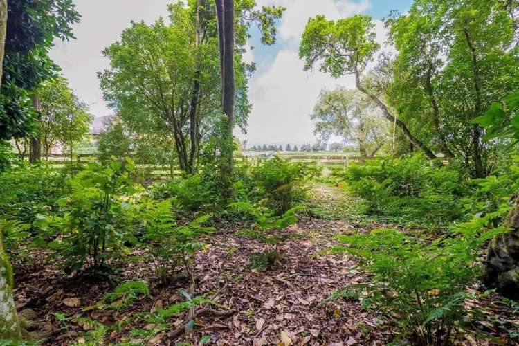 12 Kilsby Place Levin_33