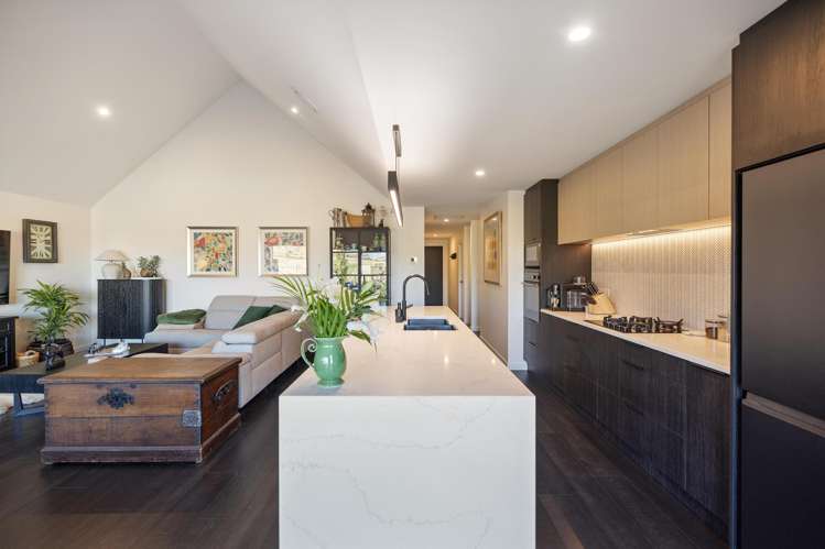 51 Shelduck Road Jacks Point_2