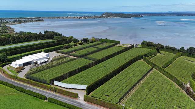 187 Athenree Road Athenree_1