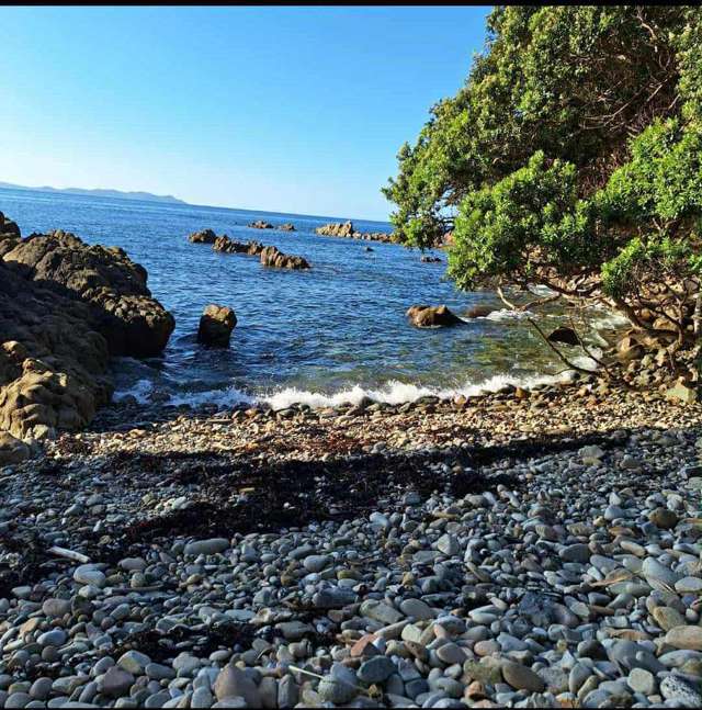 Lot 4/303 Waiaua Road Hihi_2