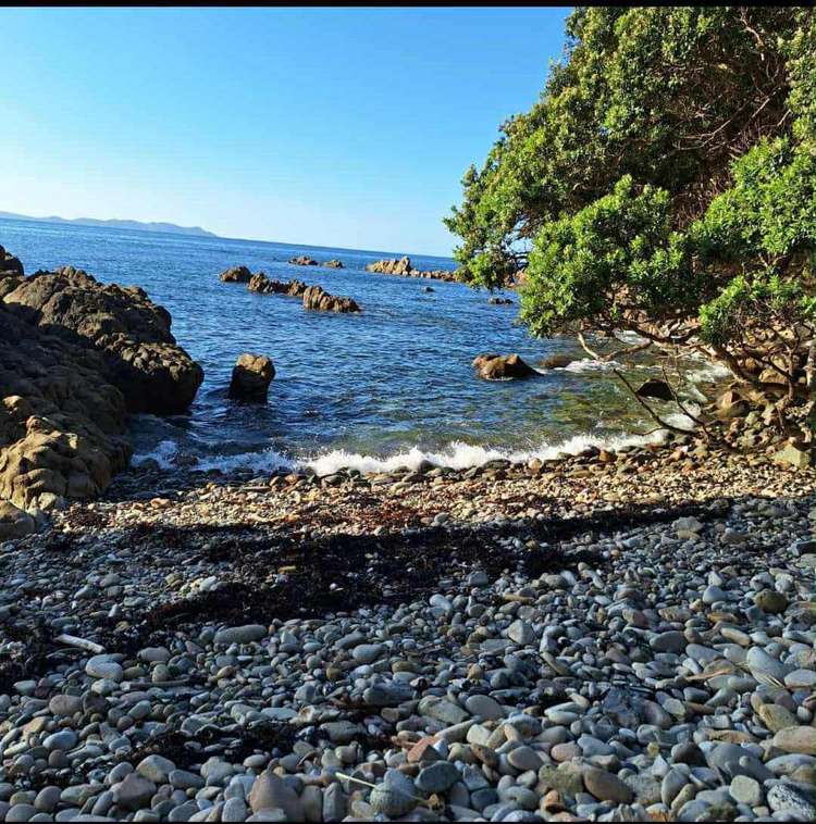 Lot 4/303 Waiaua Road Hihi_2