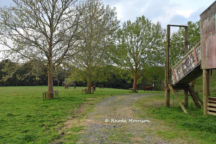 726 Paparoa Station Road Maungaturoto_71