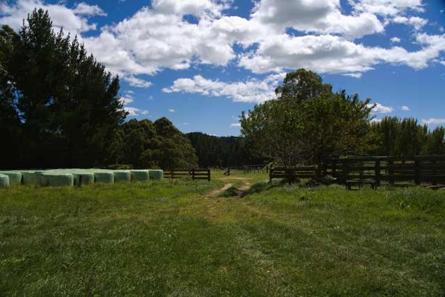 1-6/461 Otamarakau Valley Road Pukehina_4