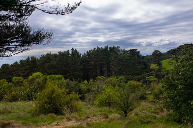 Whaanga Road Raglan_11