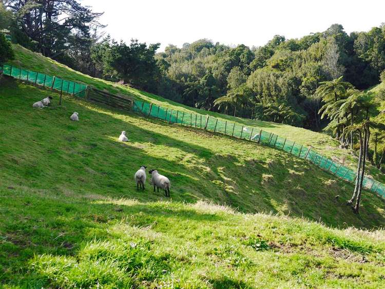 17b Rennell Street Frankleigh Park_13