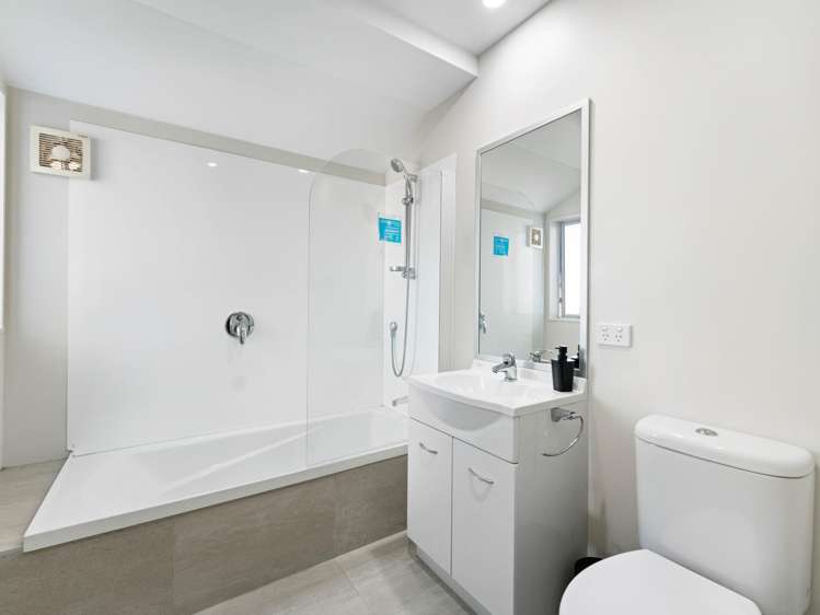 69 Divide Loop Takanini_19