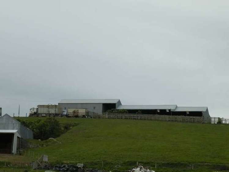 249 Ashley Downs Road Clinton and Surrounds_15