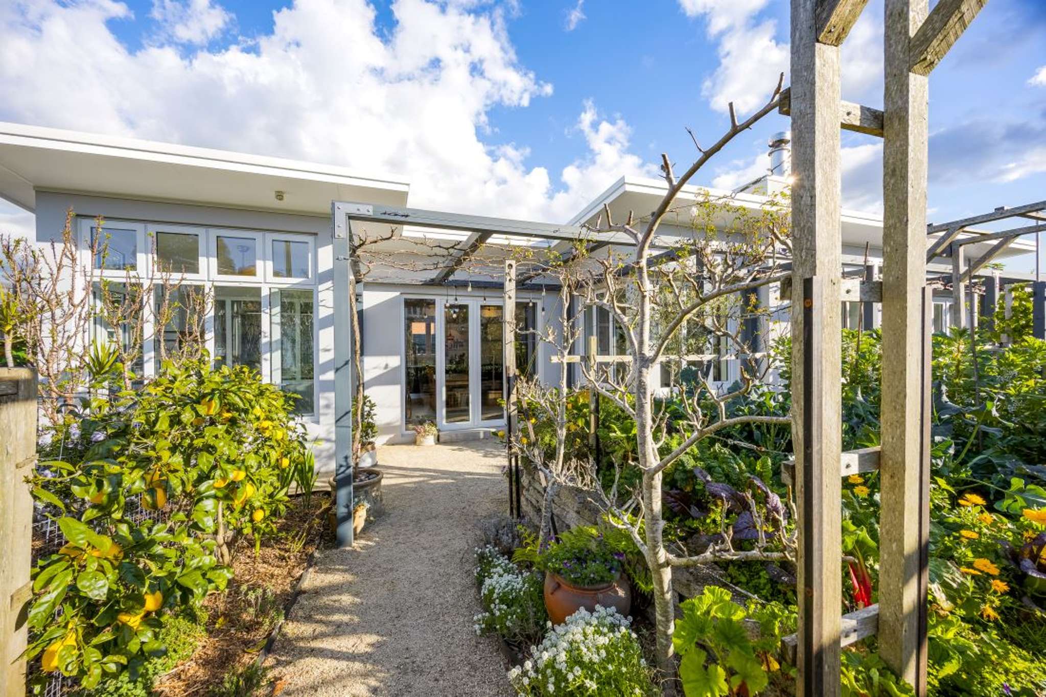 YouTube star for sale: Onehunga micro-farm offers sustainable living on tiny city block