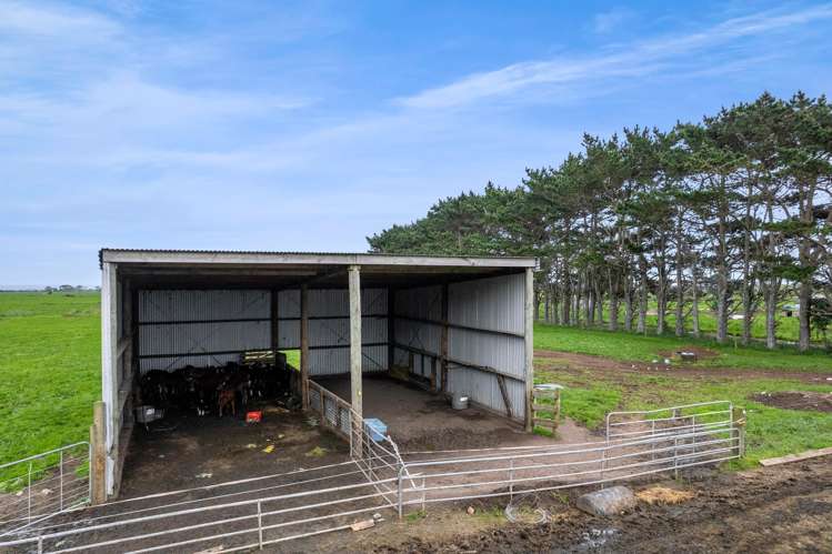 192 Upper Kina Road Oaonui_14