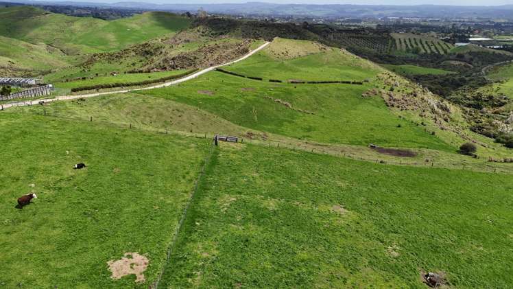 412C Upper Ohauiti Road Ohauiti_3