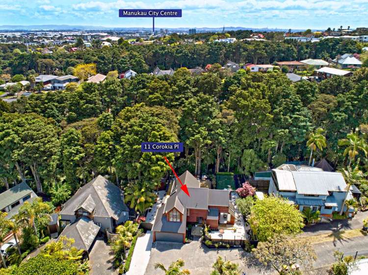 11 Corokia Place Totara Heights_9