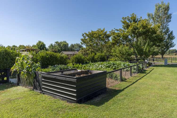 6/33 Faiping Road Rukuhia_6