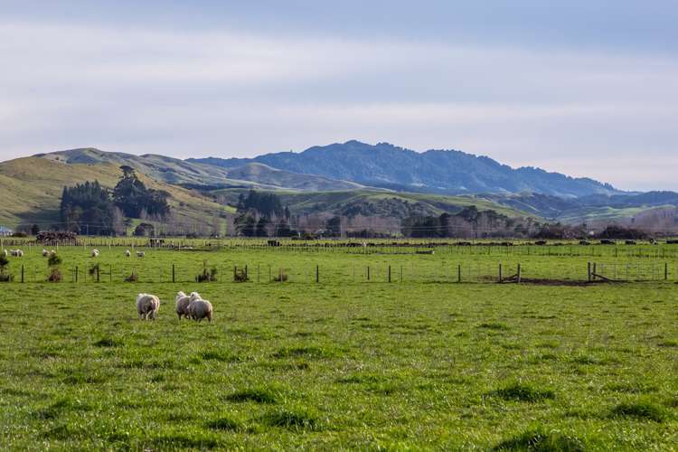 Lot 5 Opaki Kaiparoro Road Masterton_3