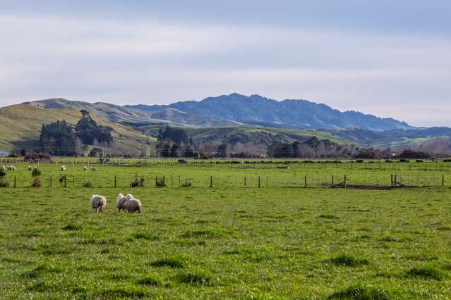 Lot 5 Opaki Kaiparoro Road Masterton_2