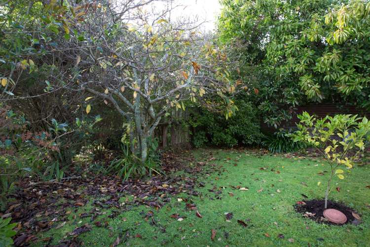 2 Wayne Place Ferndale_21