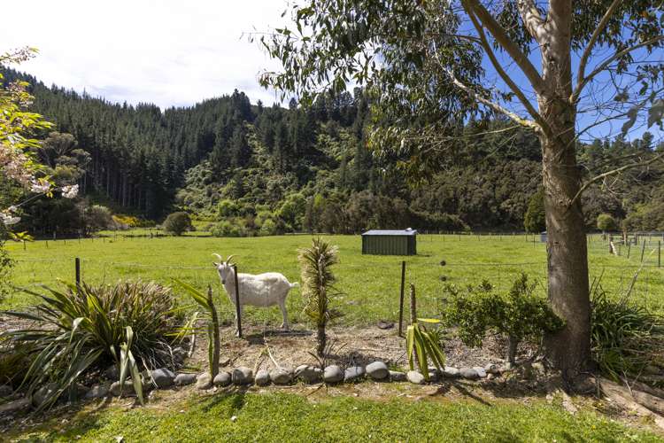 132 Mount Riley Road Havelock_36