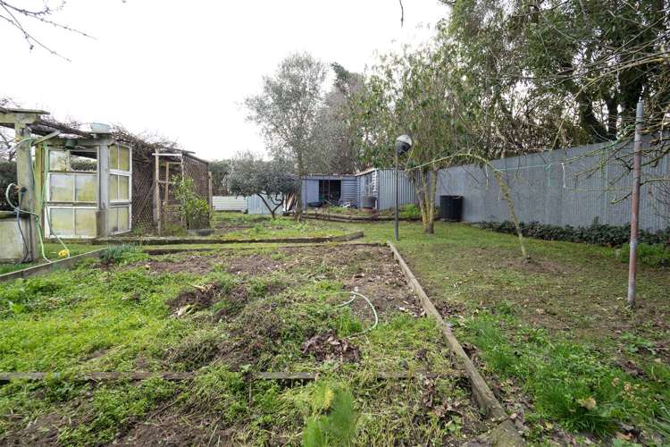 61 Nelson Street Hampstead_18