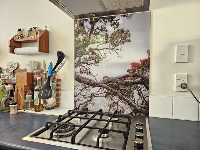 236 Marsden Road Greymouth_4