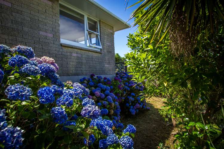 31a Mandalay Terrace Khandallah_19