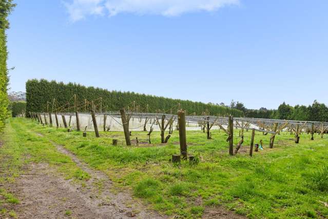 Lot 3/1010 Te Matai Road Te Ranga_3