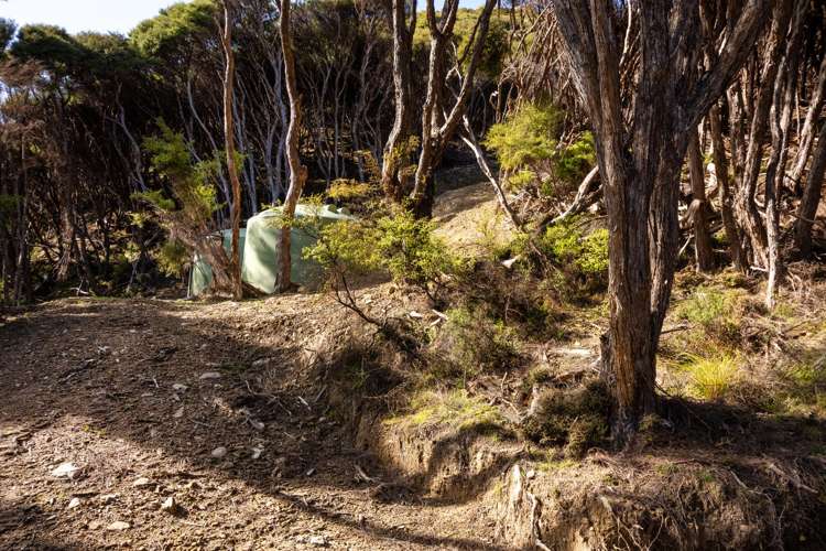 Lot 4 + 5 Te Aroha Bay, Otanerau Bay Marlborough Sounds_53