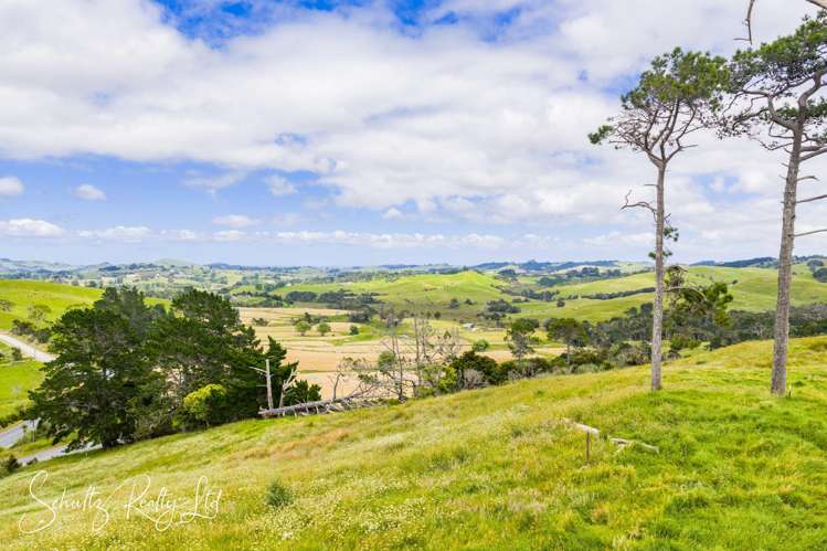 Wearmouth Road Paparoa_11