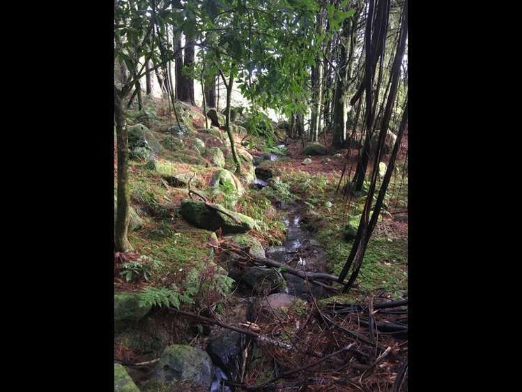 115 Waiare Road Okaihau_21