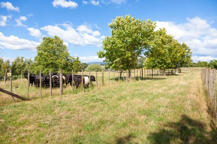 191 Taihoa South Road Matamata_34