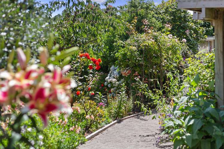 5 Sunset Terrace Waikanae Beach_9