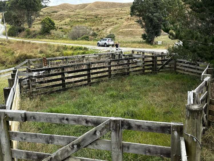 39 Bothwell Road Glen Murray Franklin Rural Property For Sale