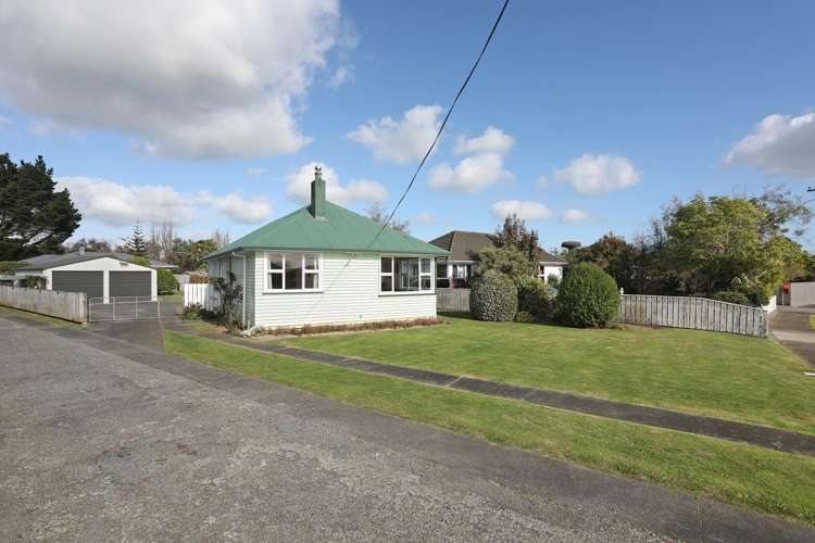 14 Ward Street Bulls_20