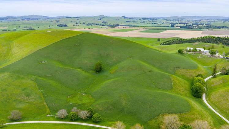 Te Huka Block, Aupaki Block and Panapa Block_0
