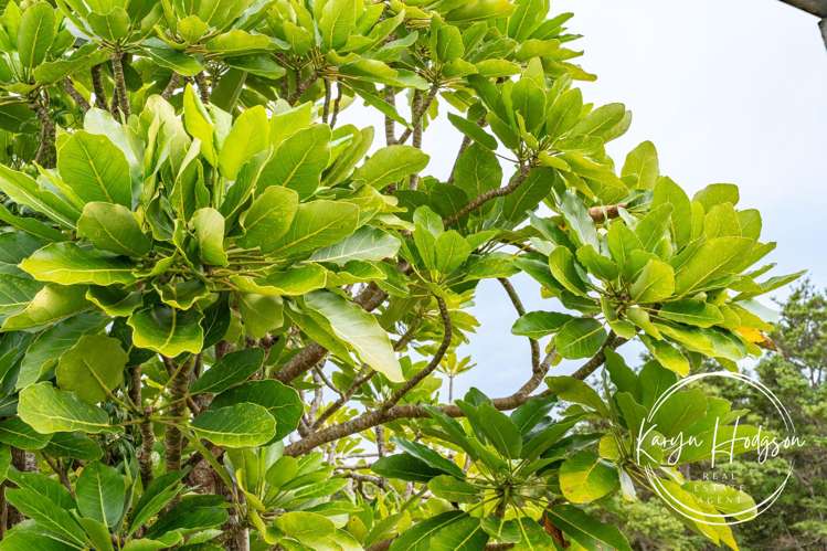 1308 Bickerstaffe Road Maungaturoto_34