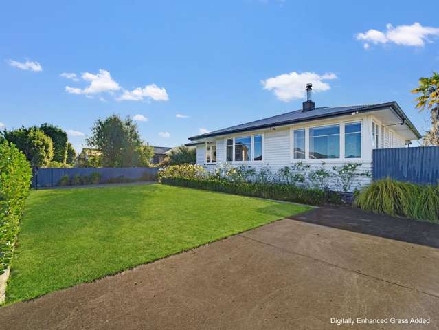 184 Guppy Road Taradale_2
