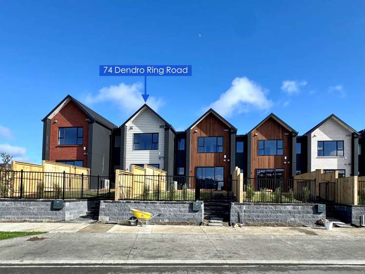 74 Dendro Ring Road_0