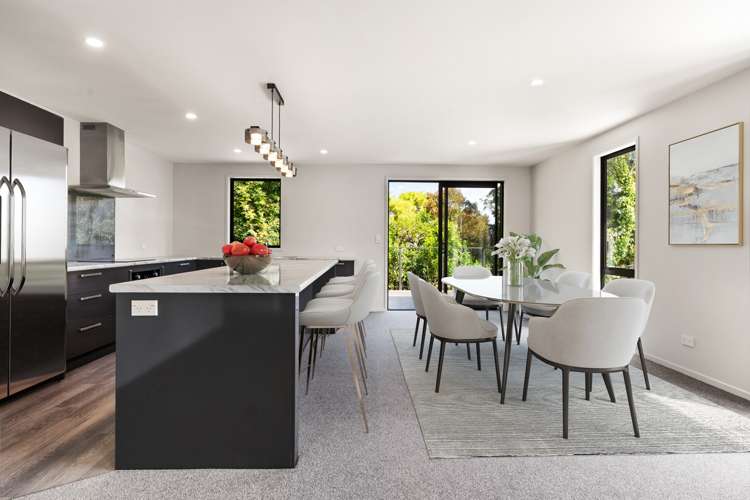 540 North Road Normanby_8