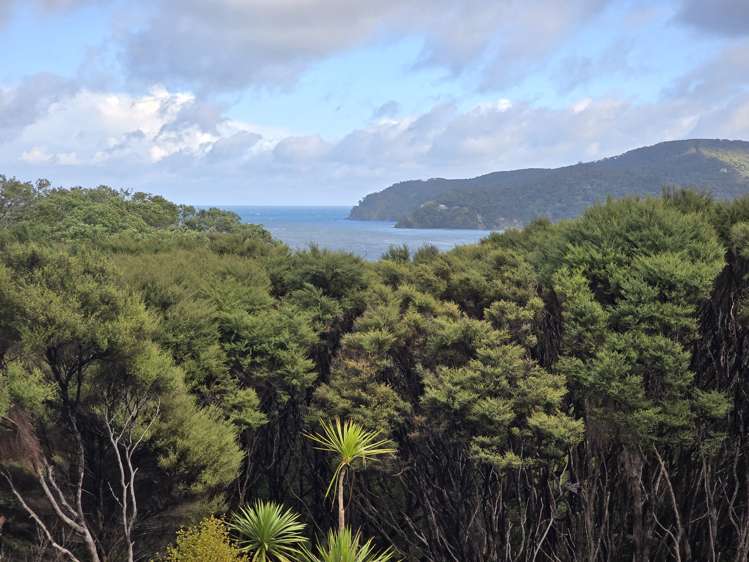 41a Blackwell Drive Great Barrier Island (Aotea Island)_5