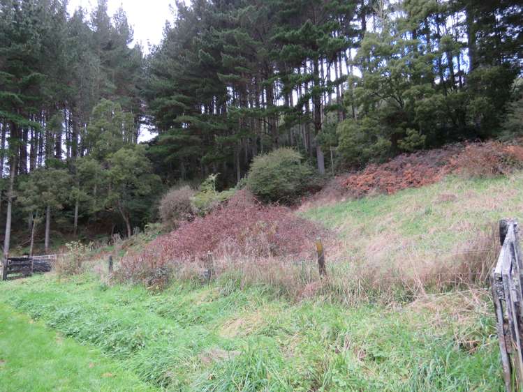 3679 Ohura Road Ohura_2