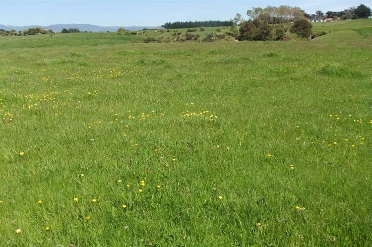 24 Ryland Park Levin_0