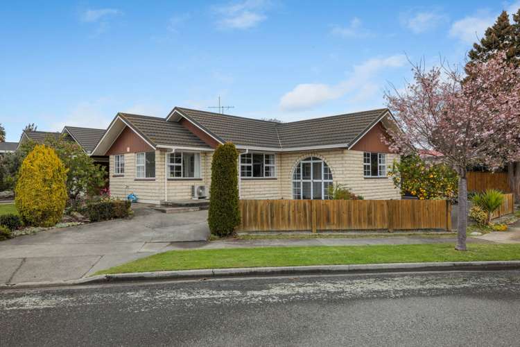 33 Leefield Street Blenheim_16