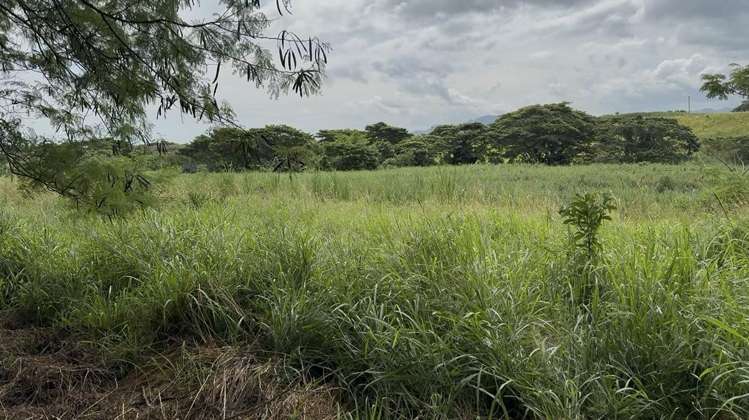 Lot 2 Nasau_1